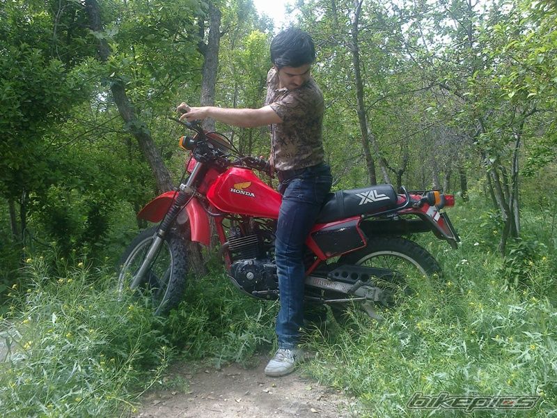 Photo 2545970