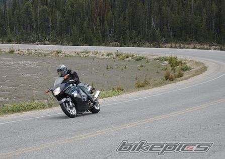 Photo 2546003