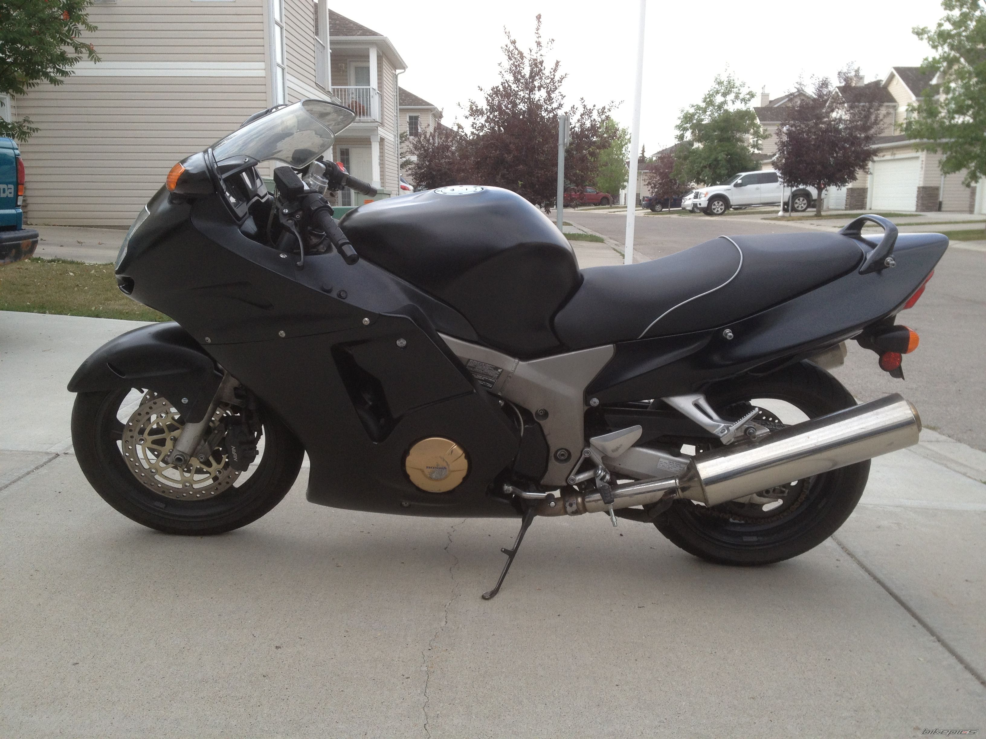 Photo 2546004