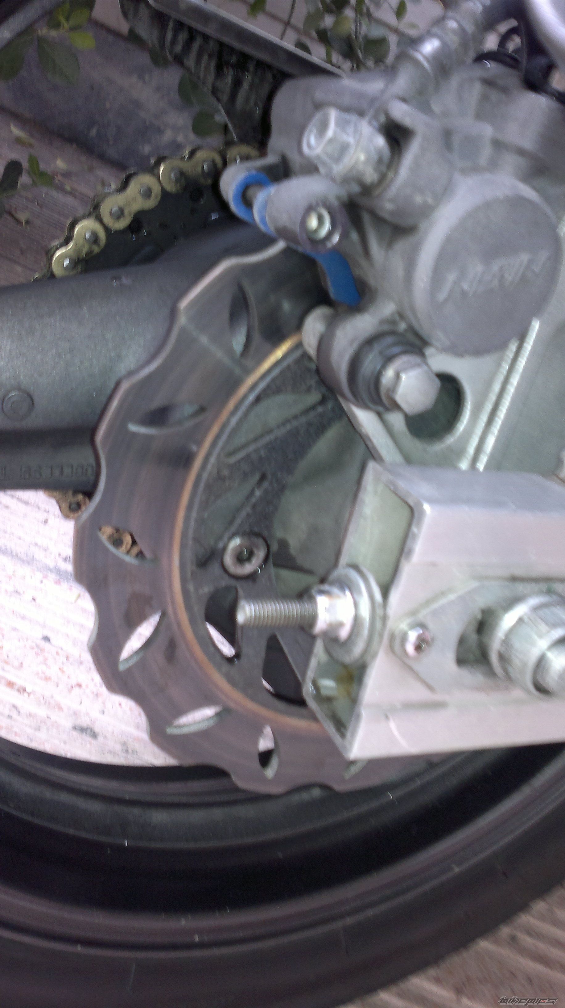 Photo 2546051