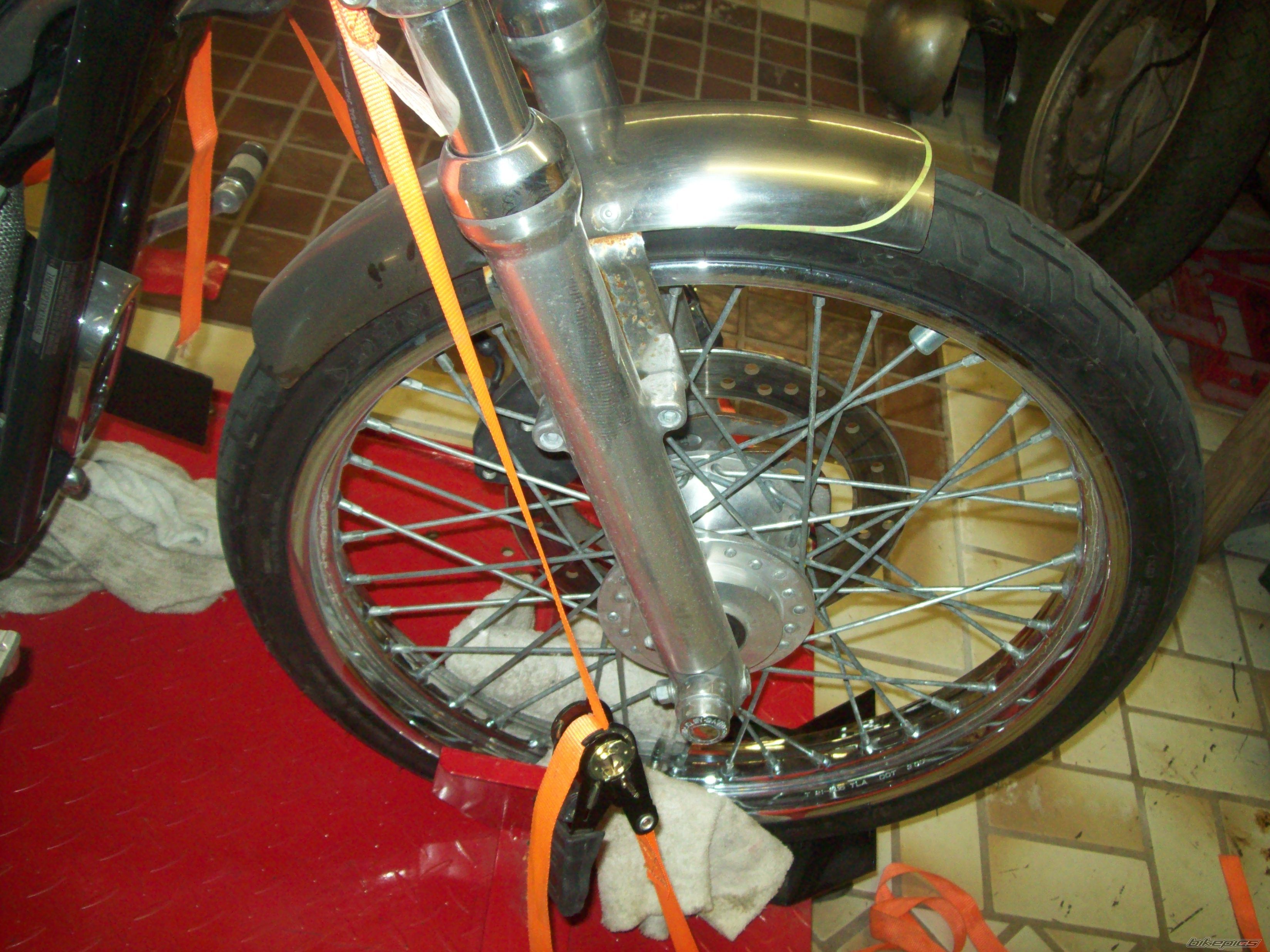 Photo 2546125