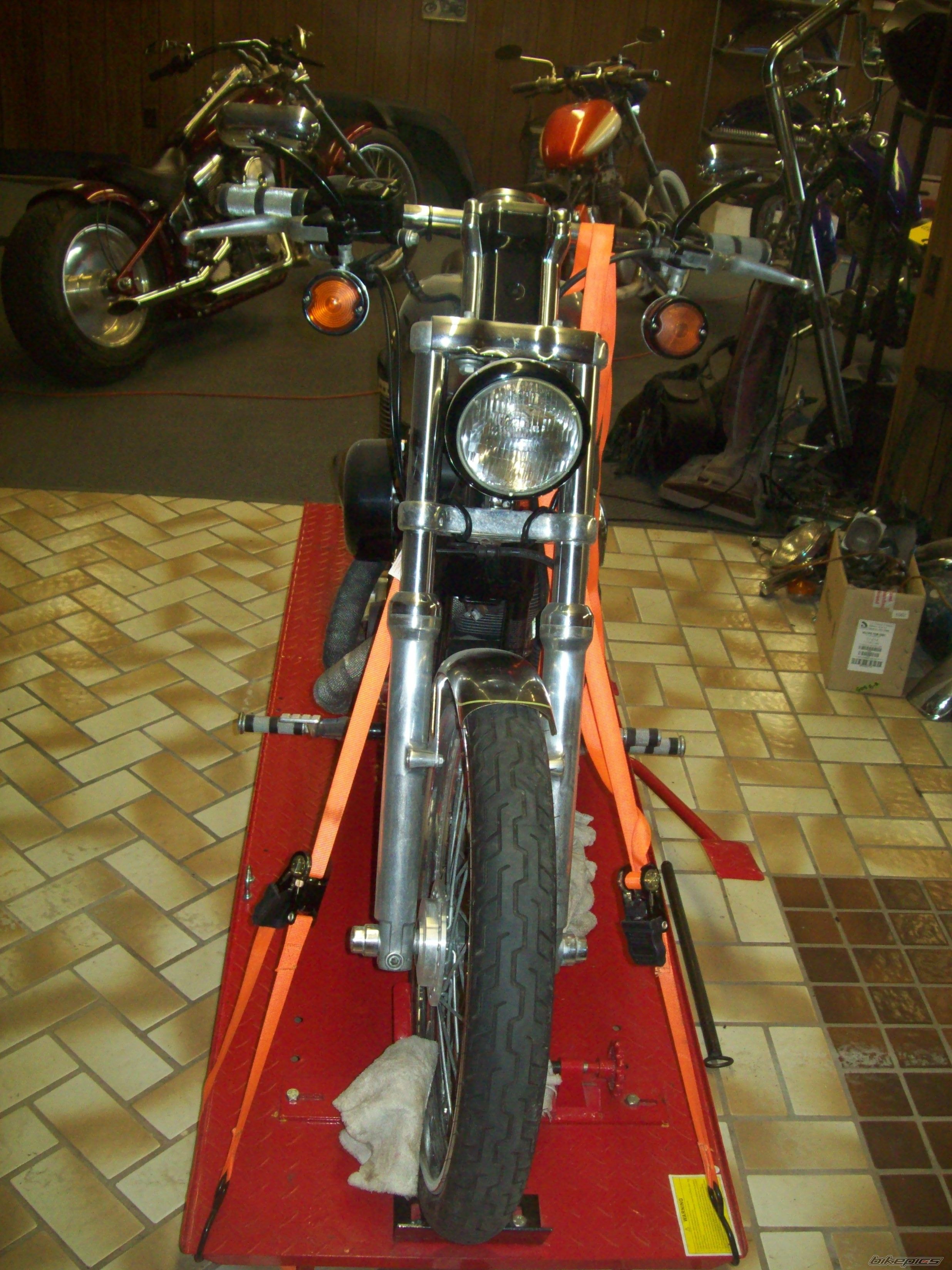 Photo 2546133