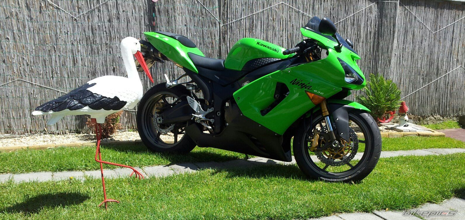 Photo 2546267
