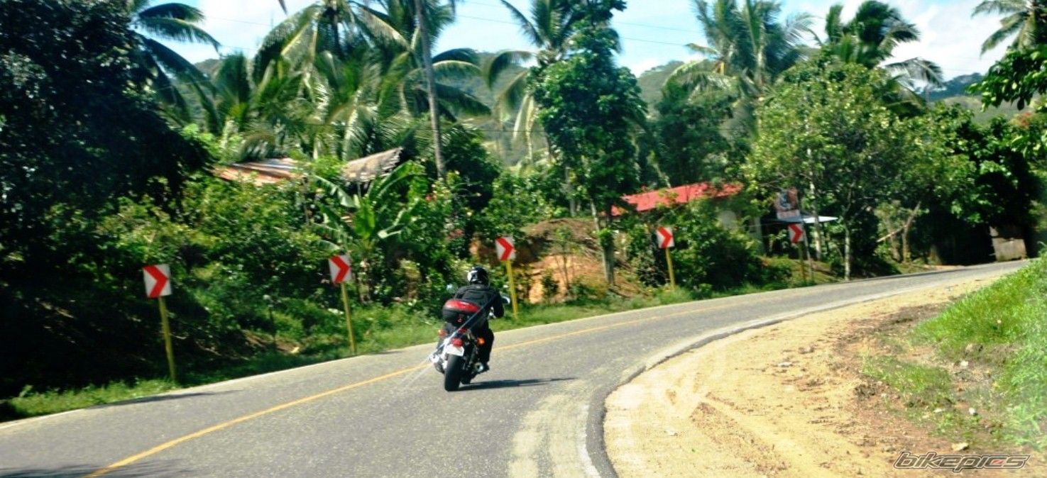 Photo 2546268