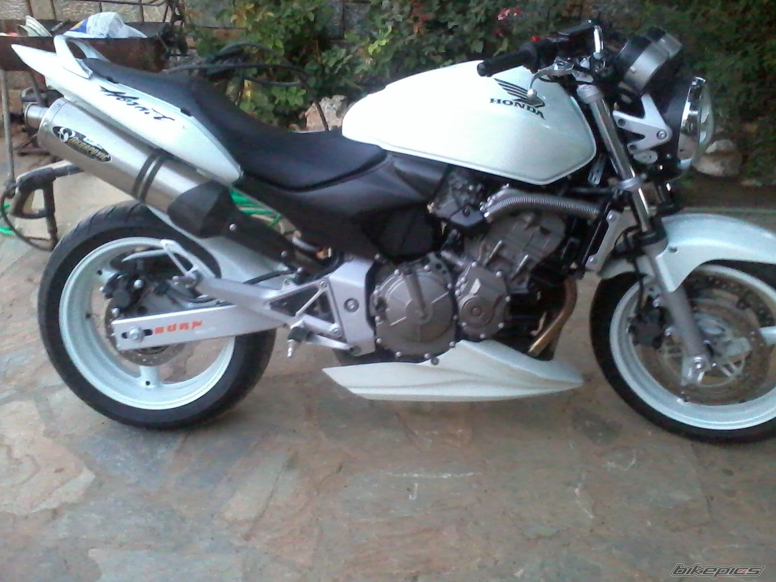Photo 2546285