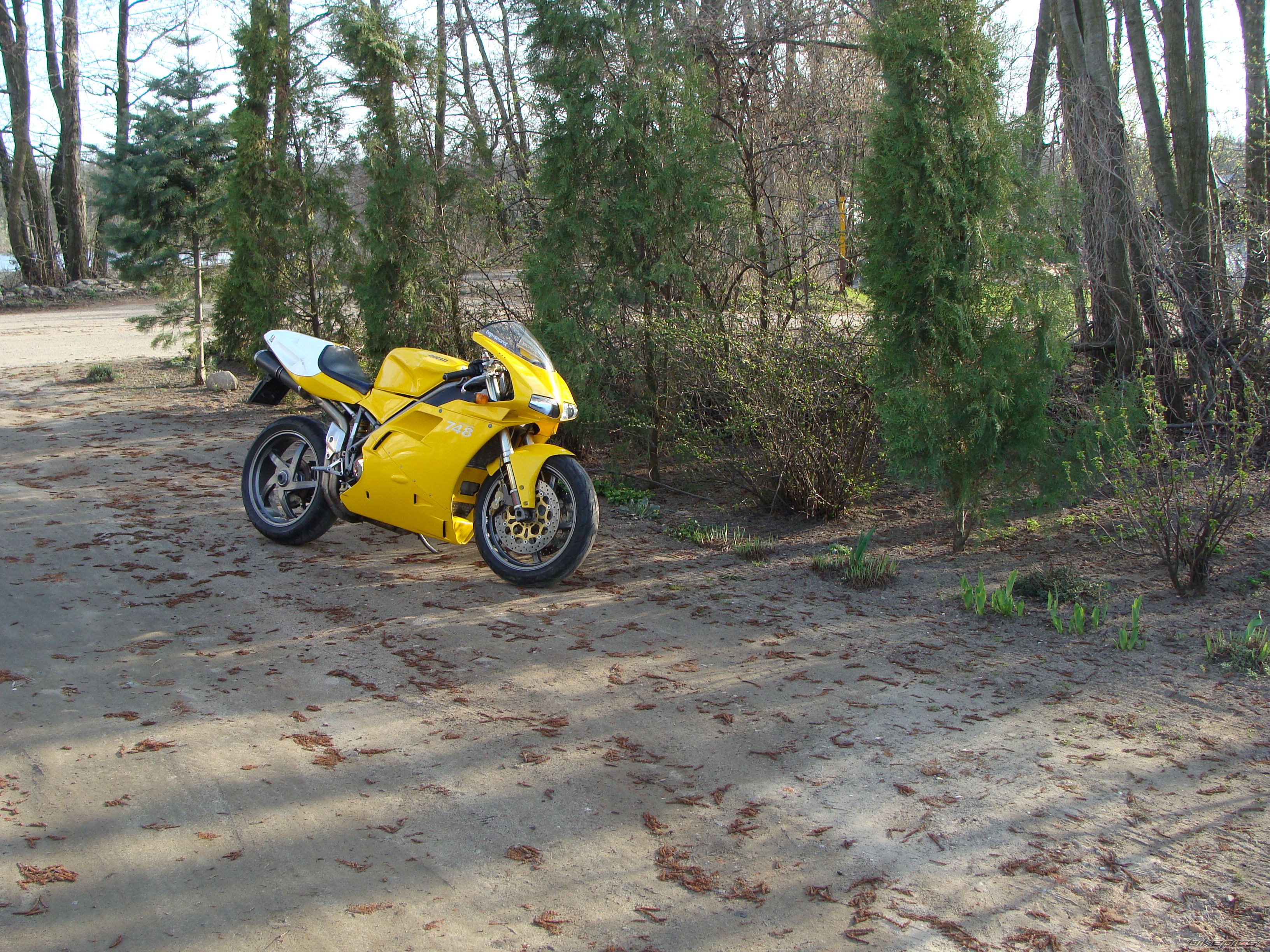 Photo 2546349