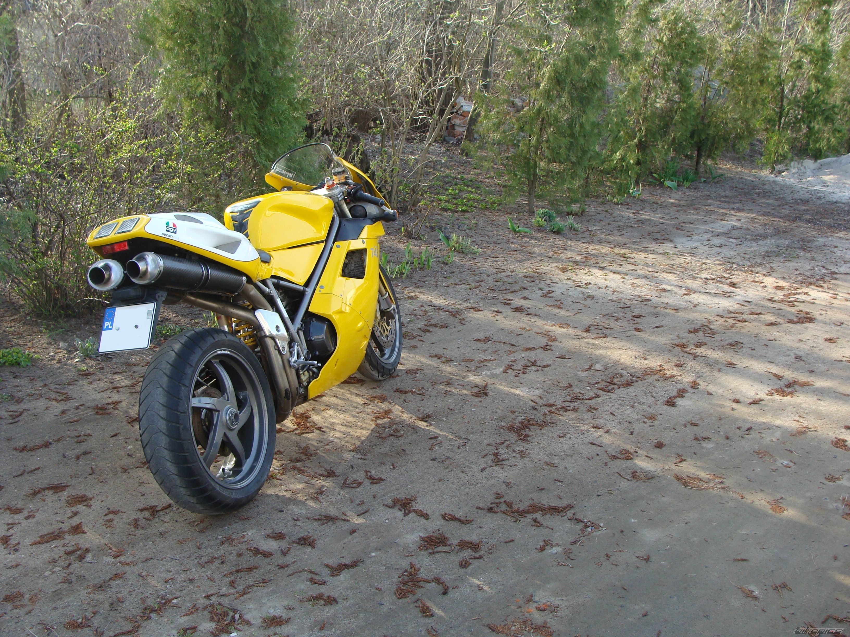 Photo 2546350