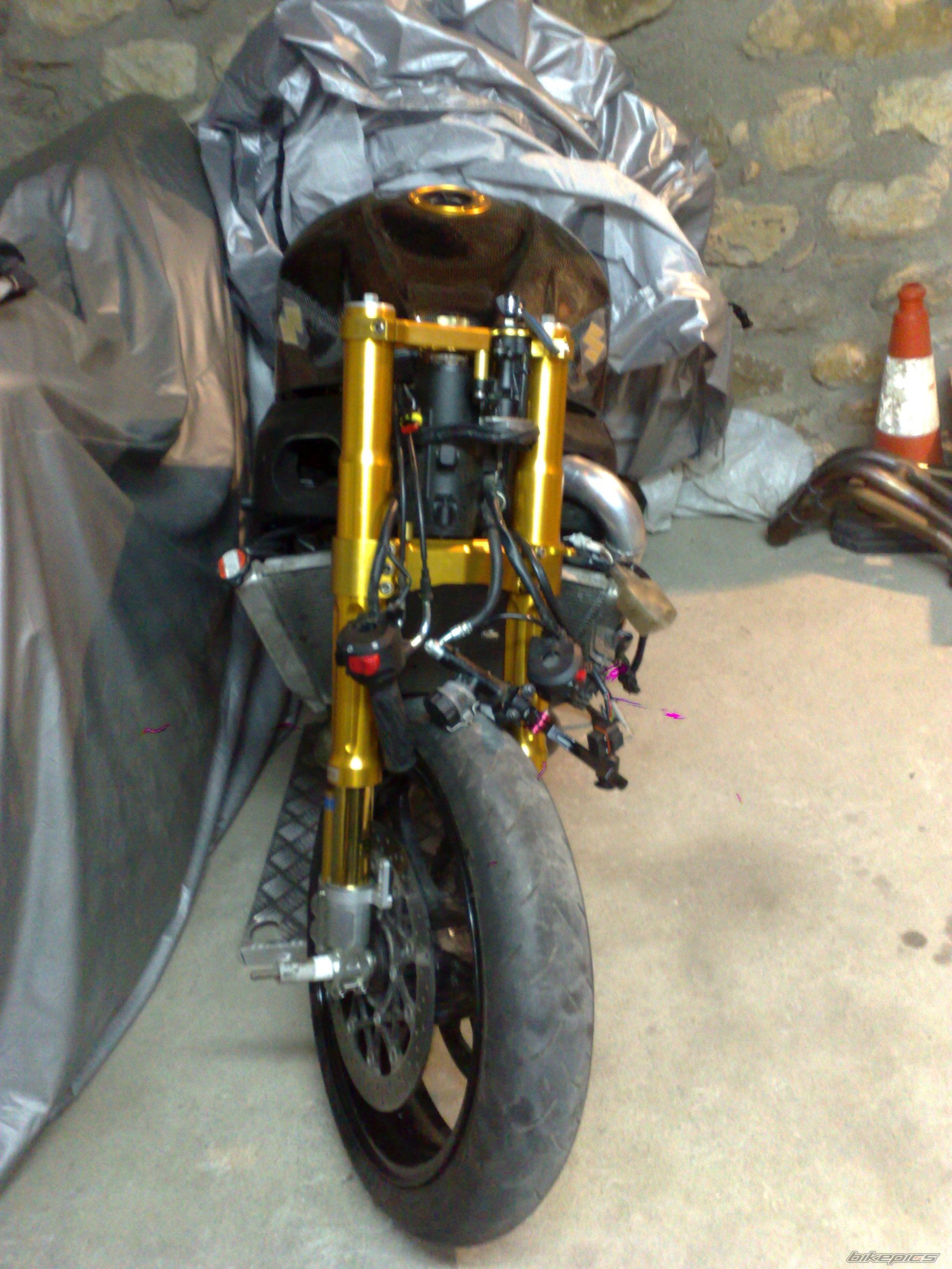 Photo 2546354