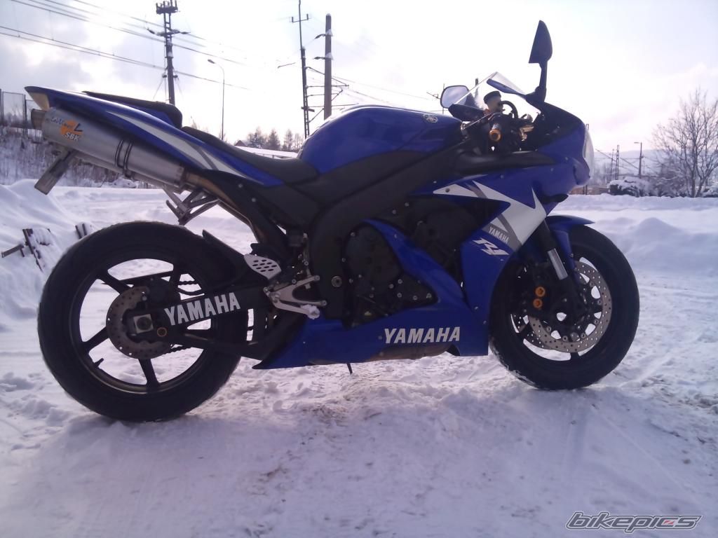 Photo 2546384