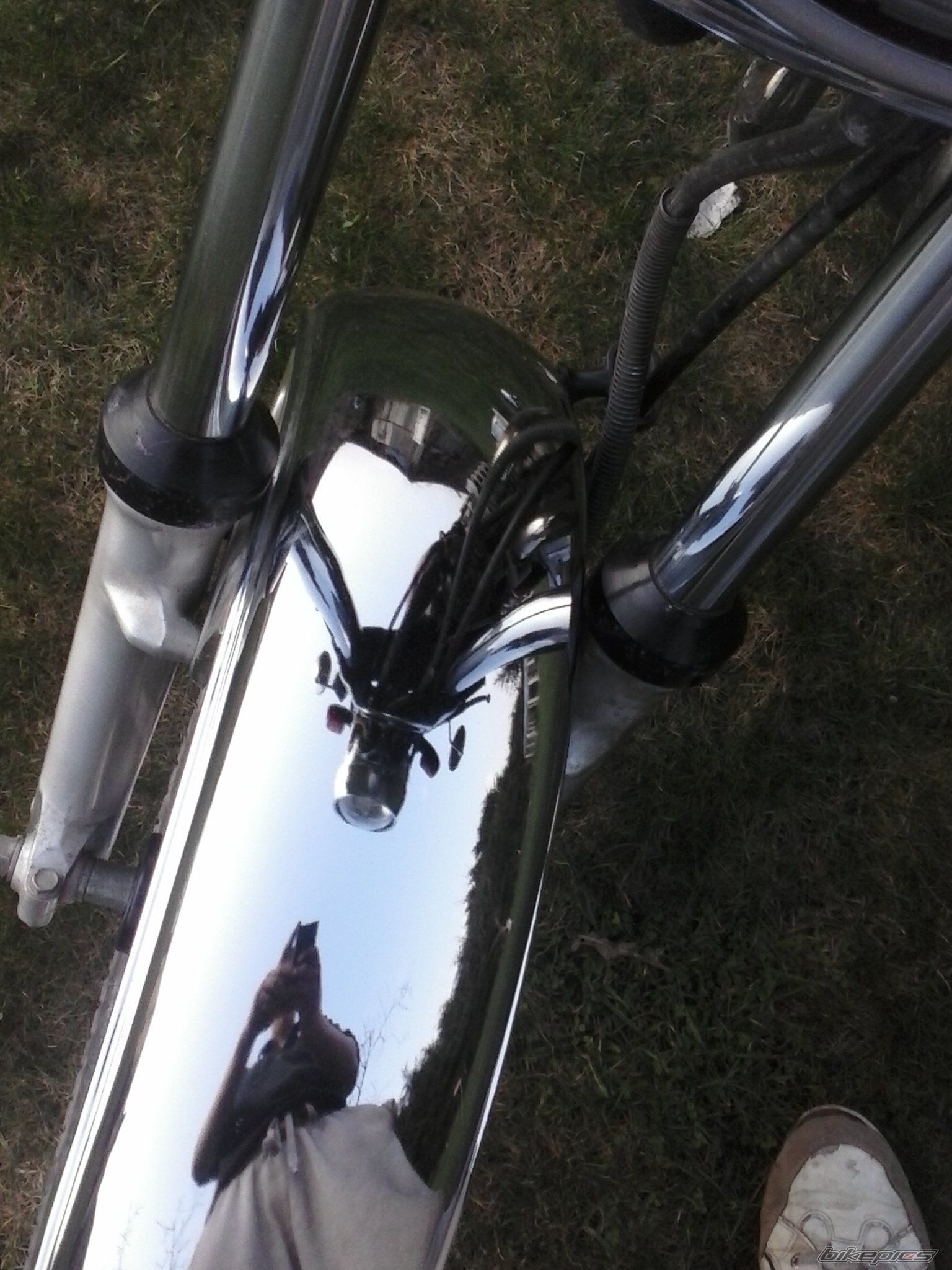 Photo 2546479