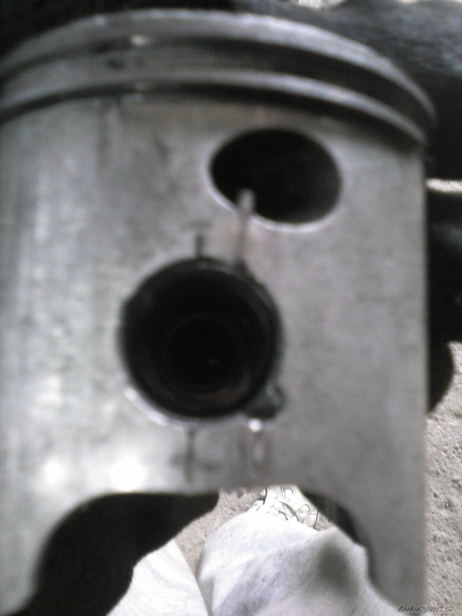 Photo 2546493