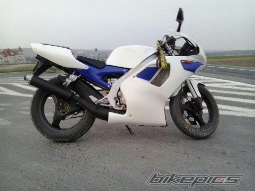 Photo 2546499