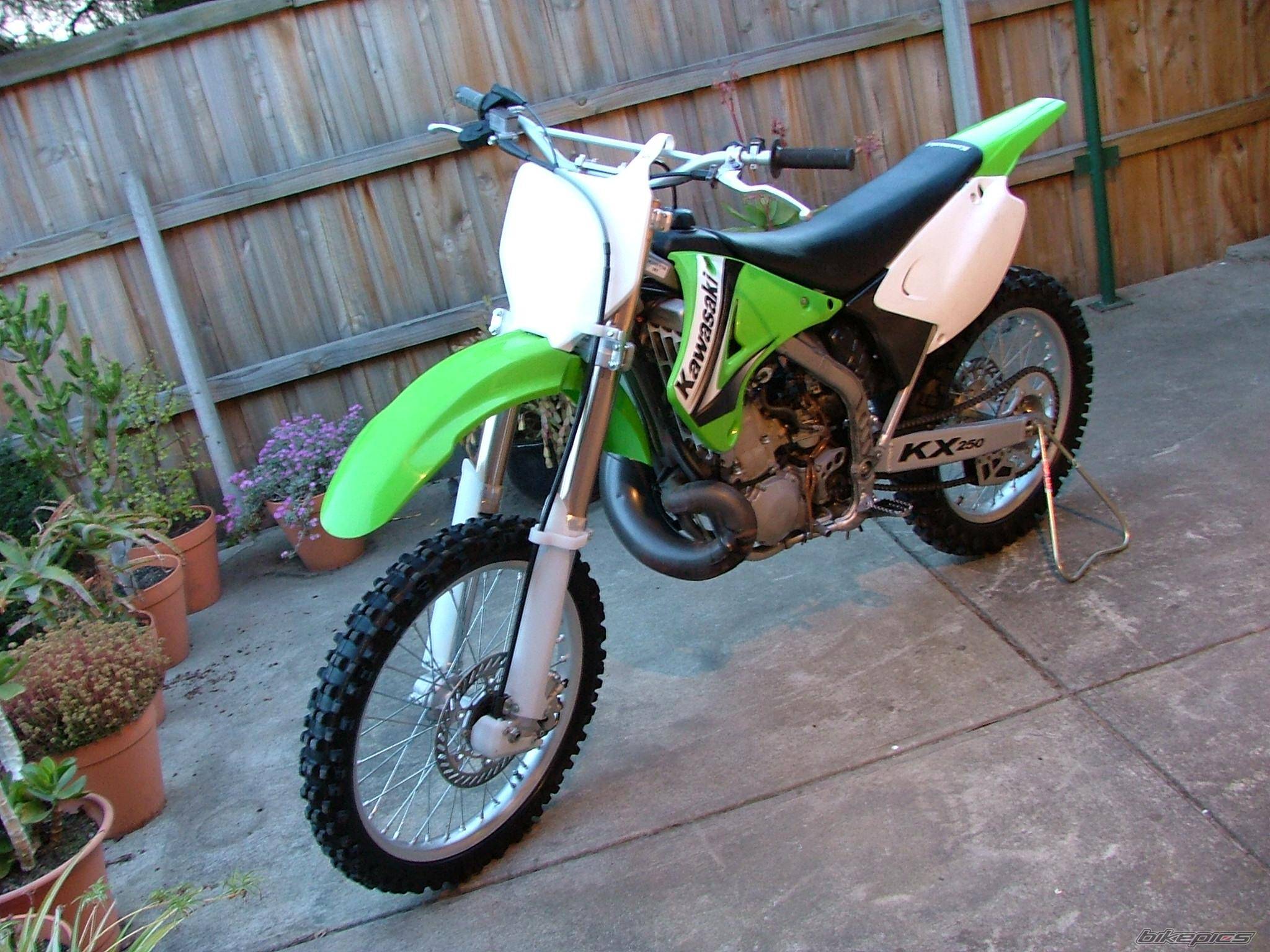 Photo 254650