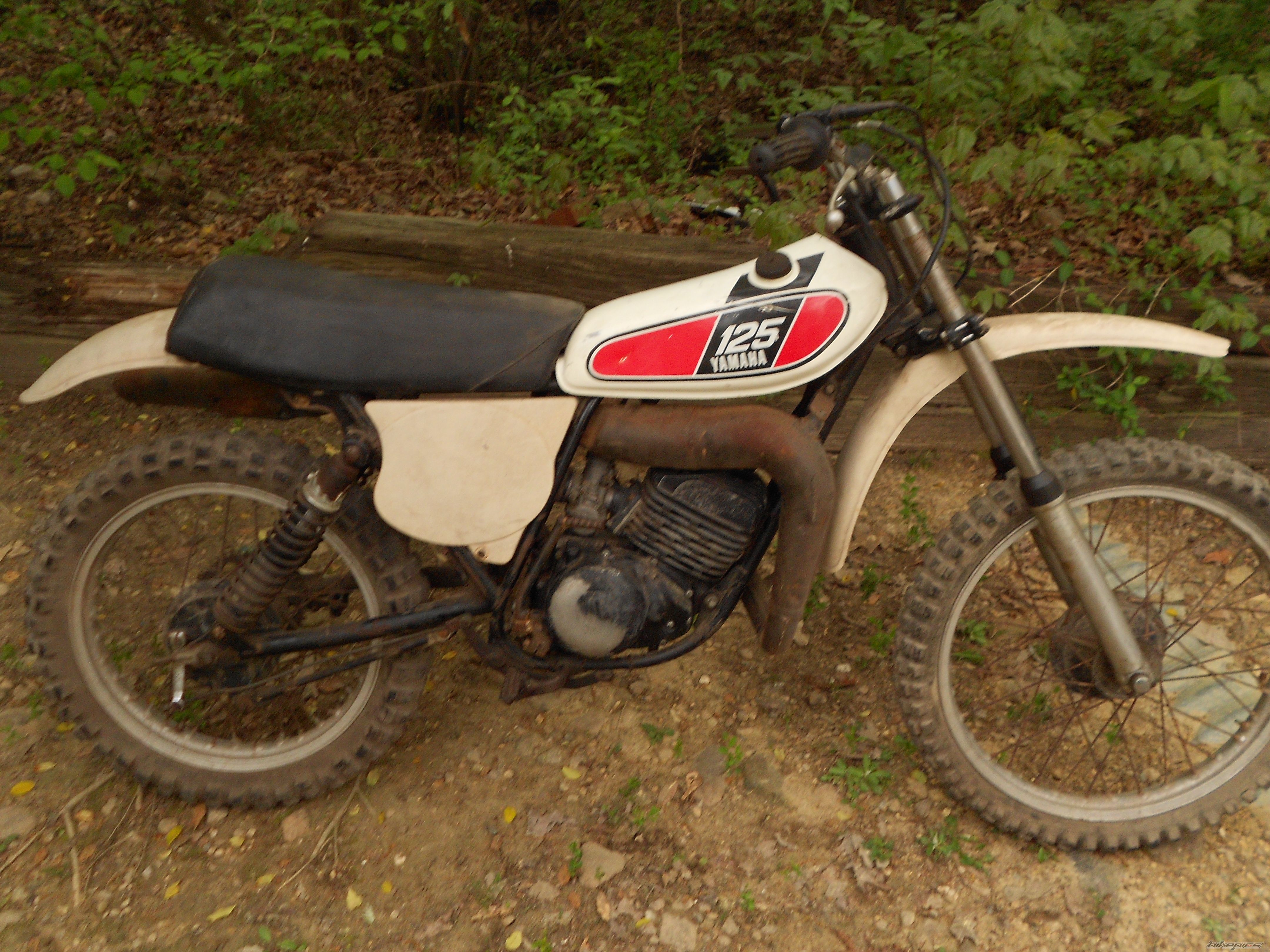 Photo 2546550