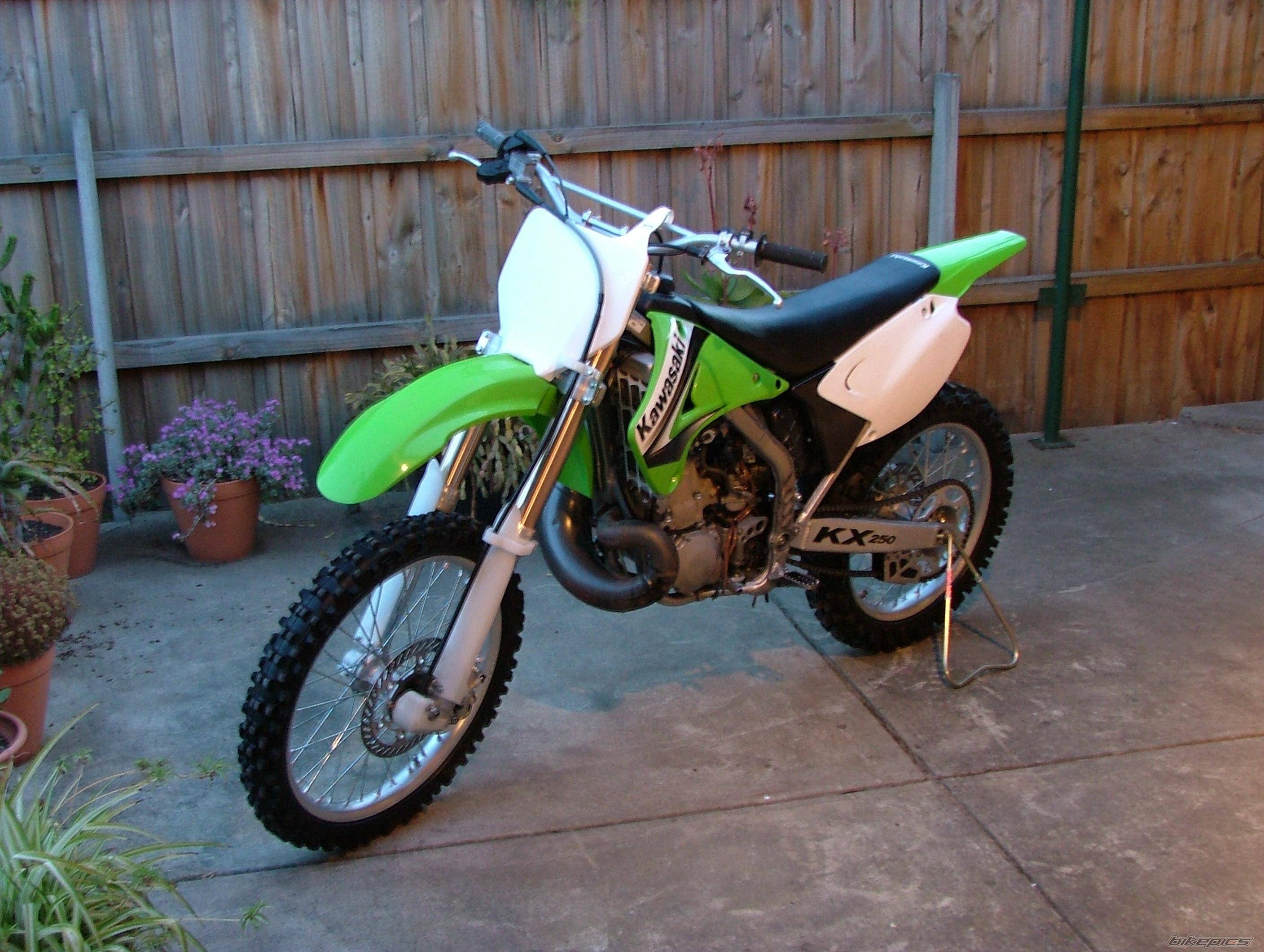 Photo 254657