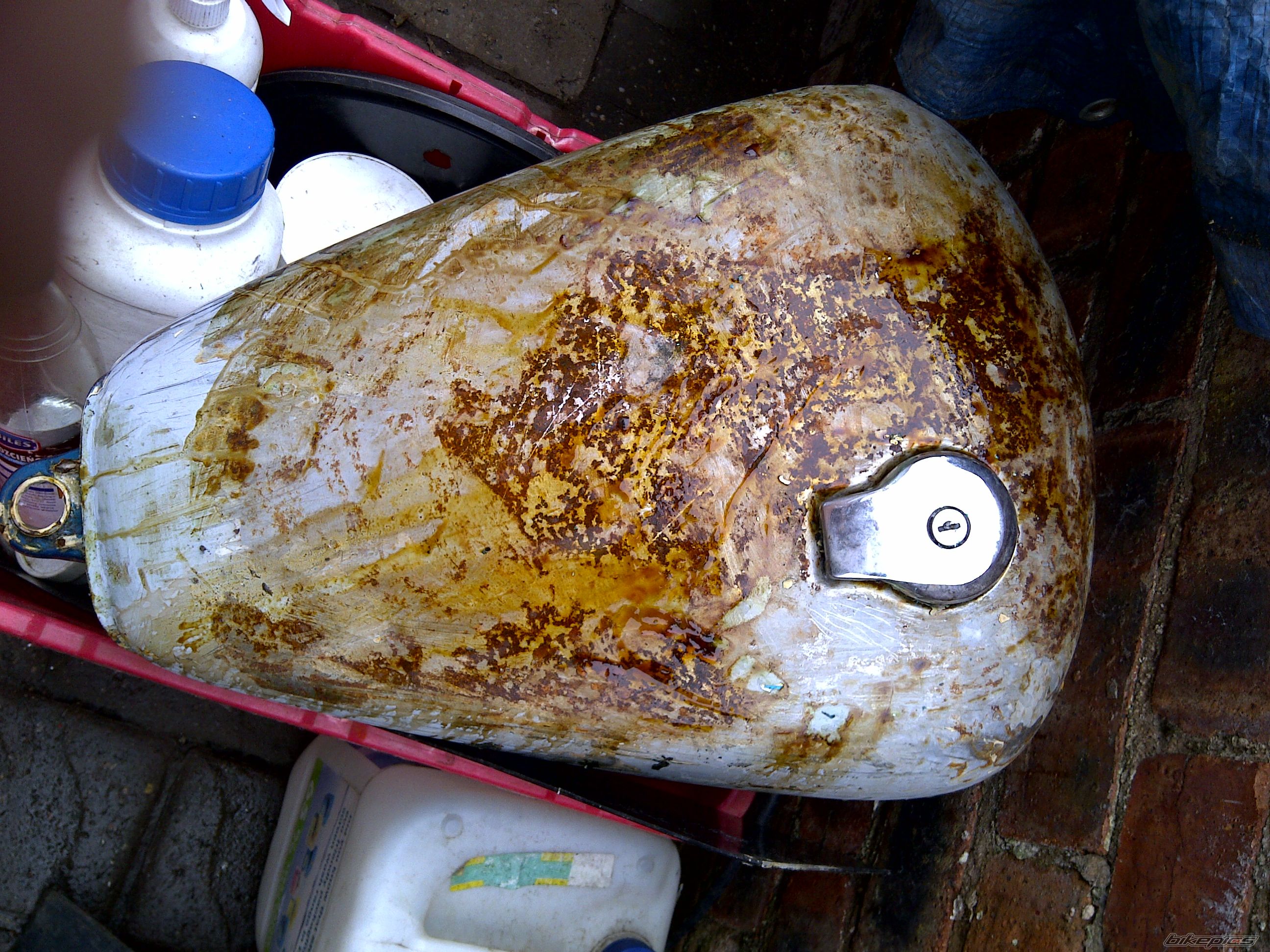 Photo 2546573
