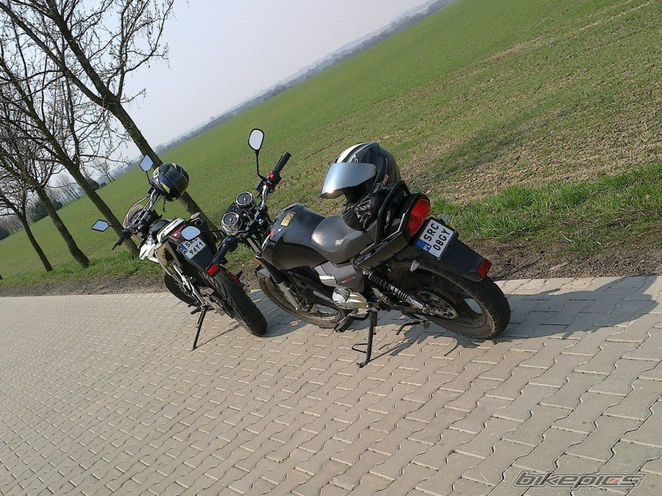 Photo 2546583