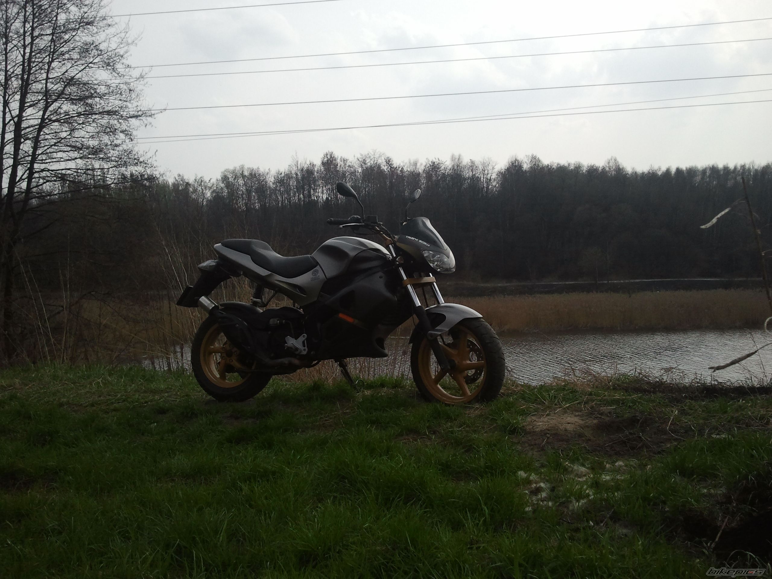Photo 2546585