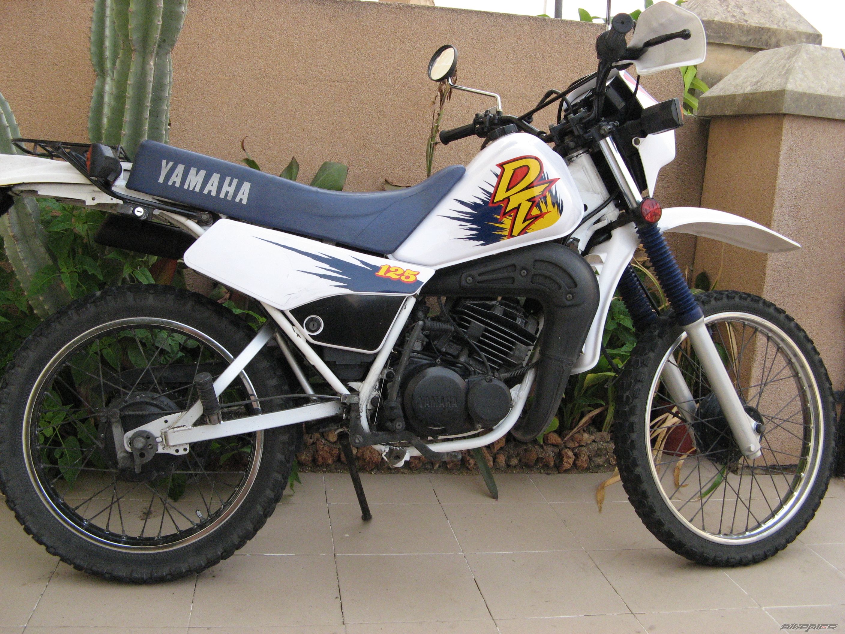 Photo 2546587