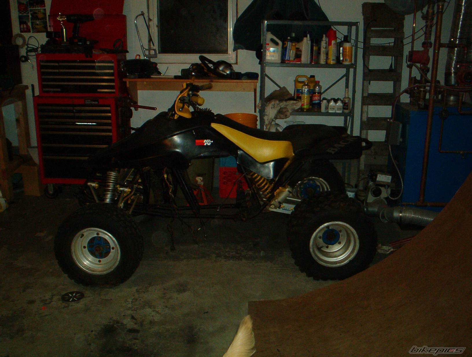 Photo 254659