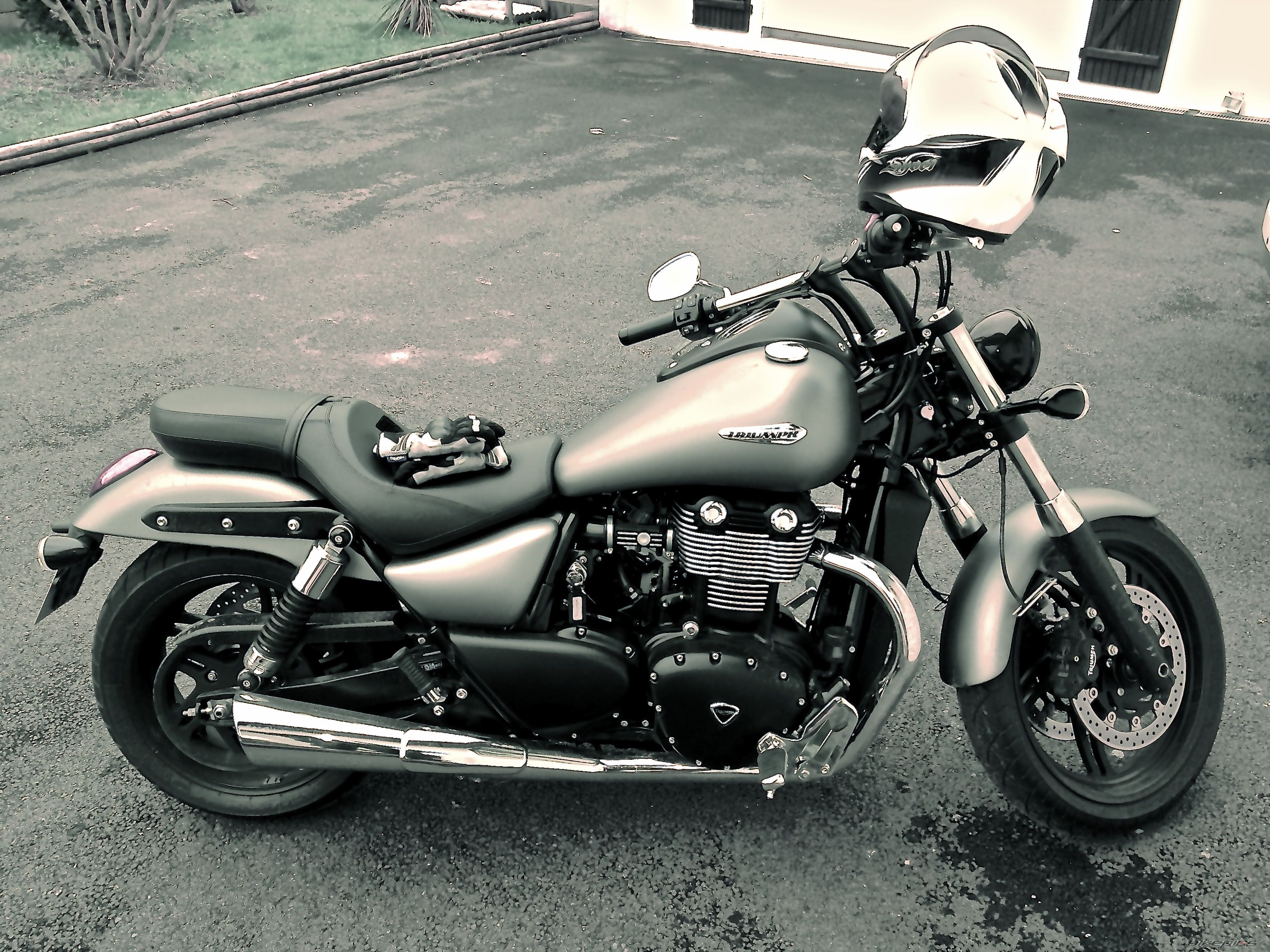 Photo 2546637