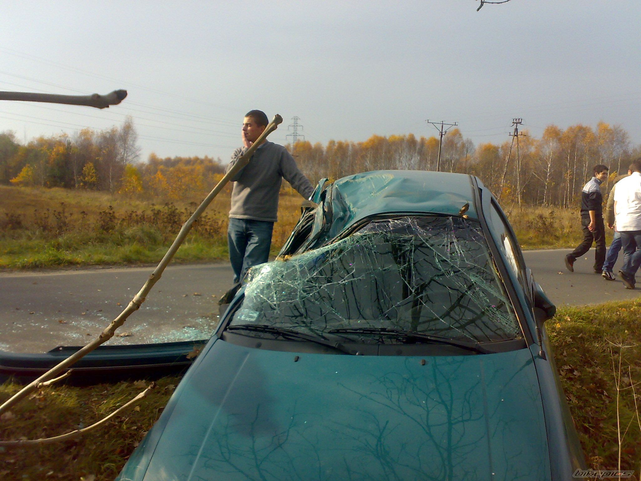 Photo 2546675