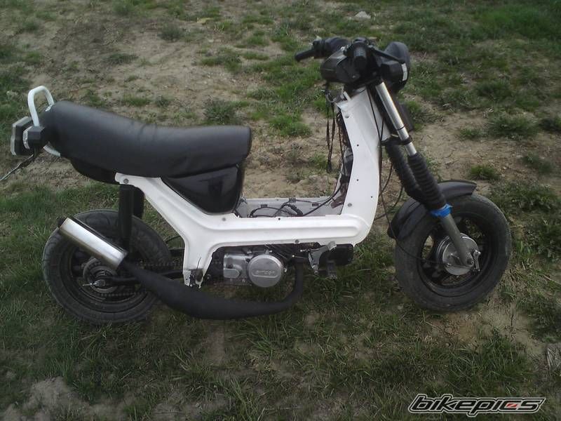 Photo 2546776