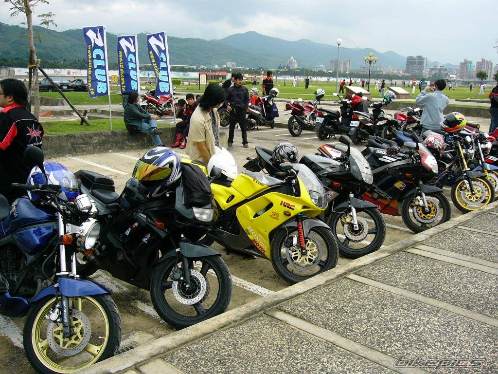 Photo 254682
