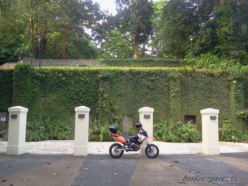 Photo 2546851