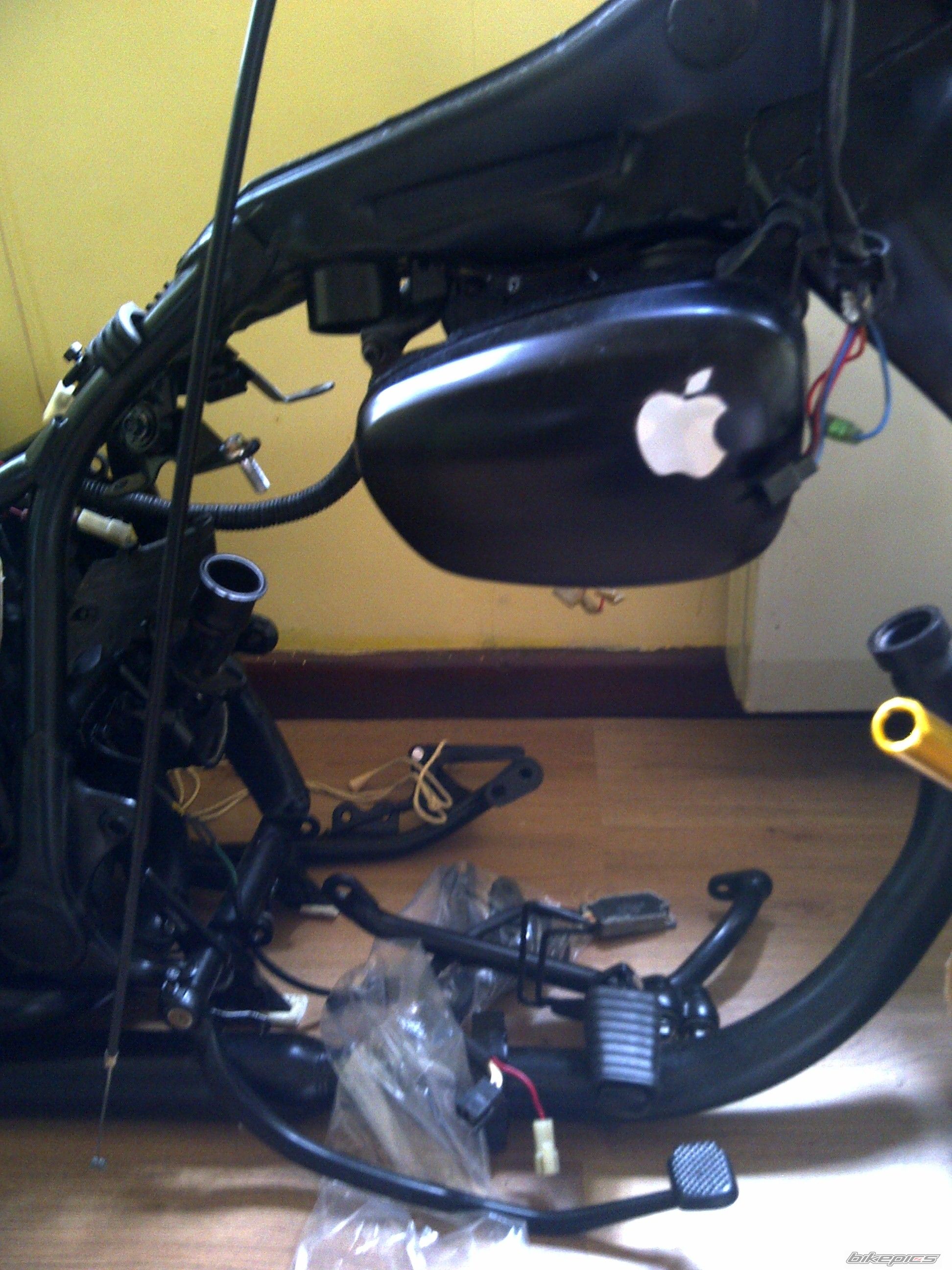 Photo 2546898