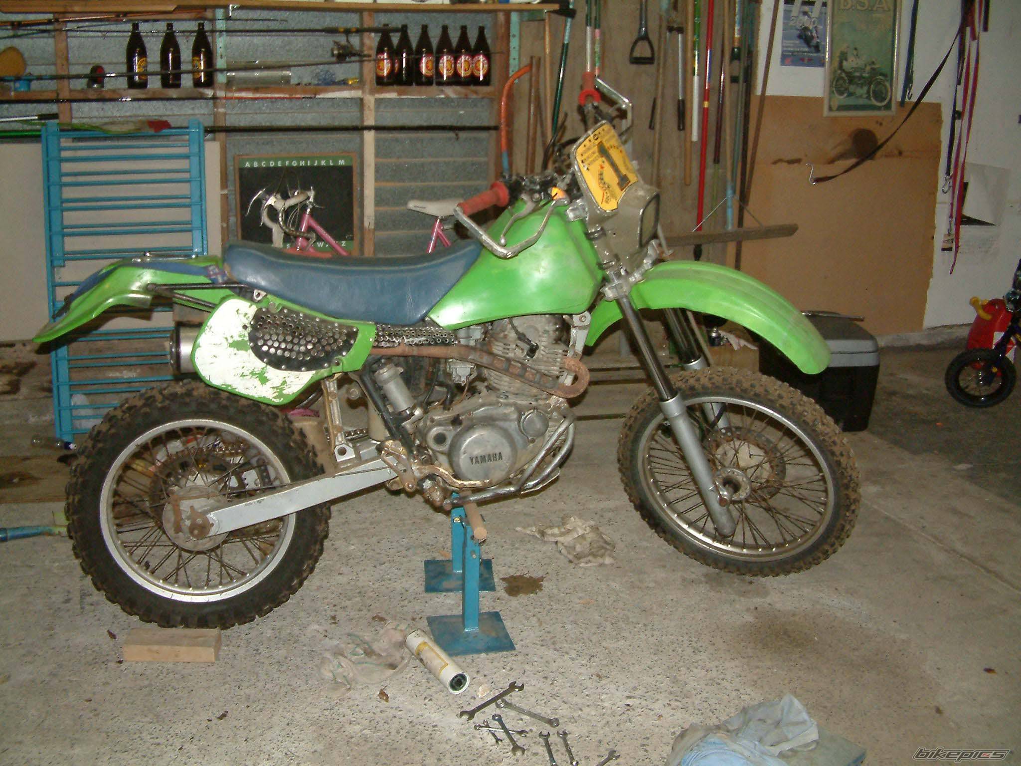 Photo 254690