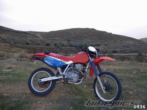 Bike Photo 254692