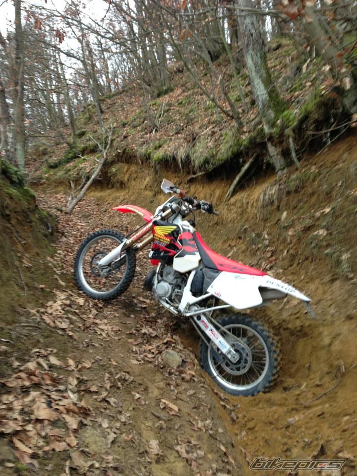 Bike Photo 2546936