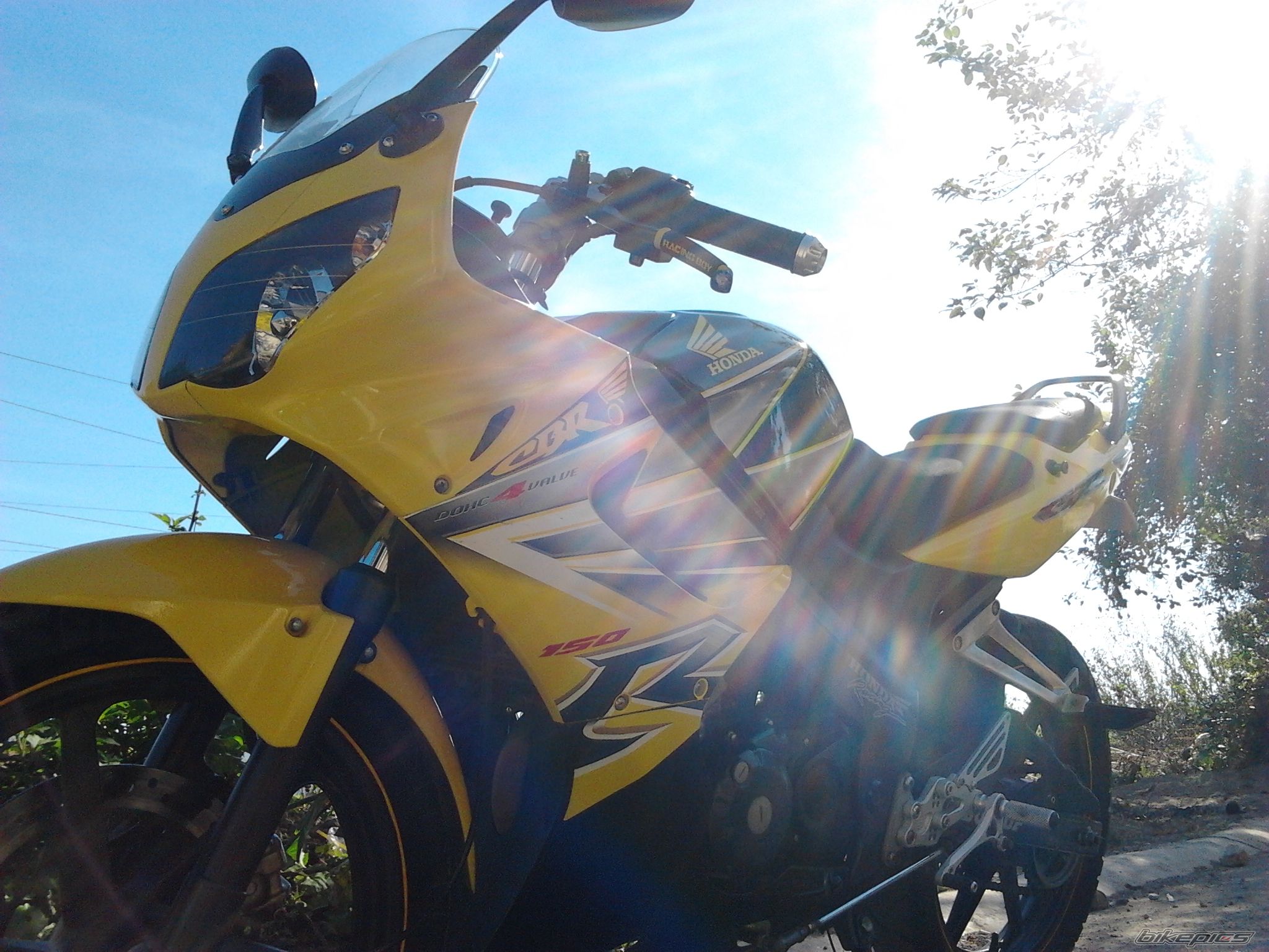 Photo 2546958