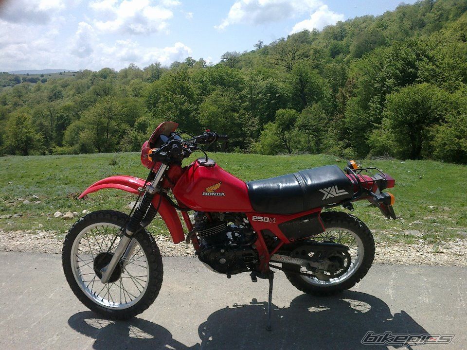 Photo 2546969