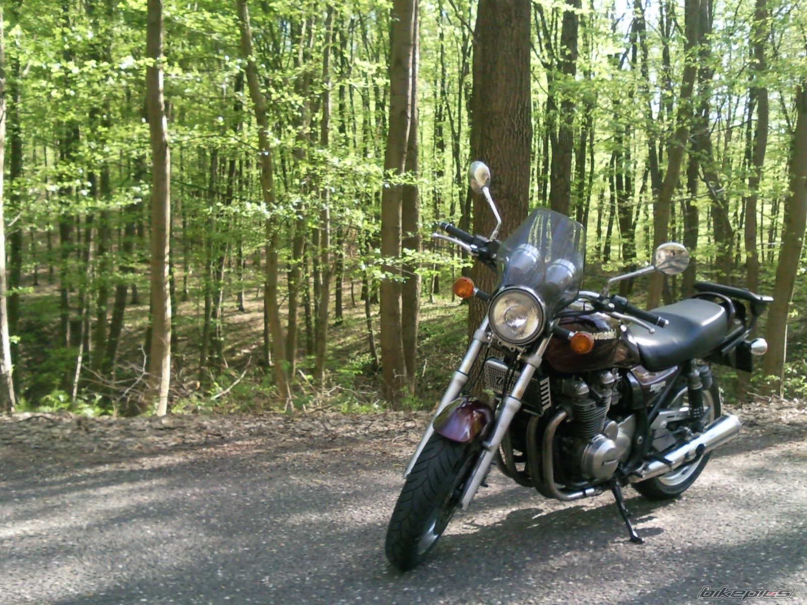 Photo 2547016