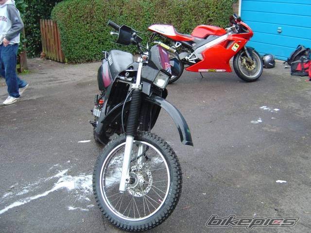 Photo 254706