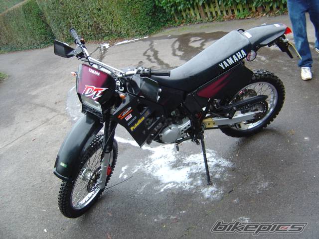Photo 254708