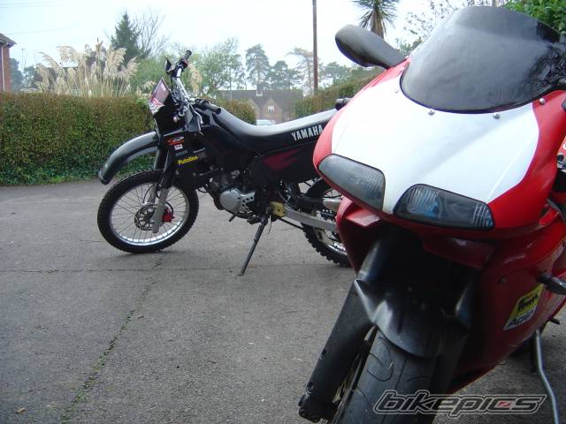 Photo 254710
