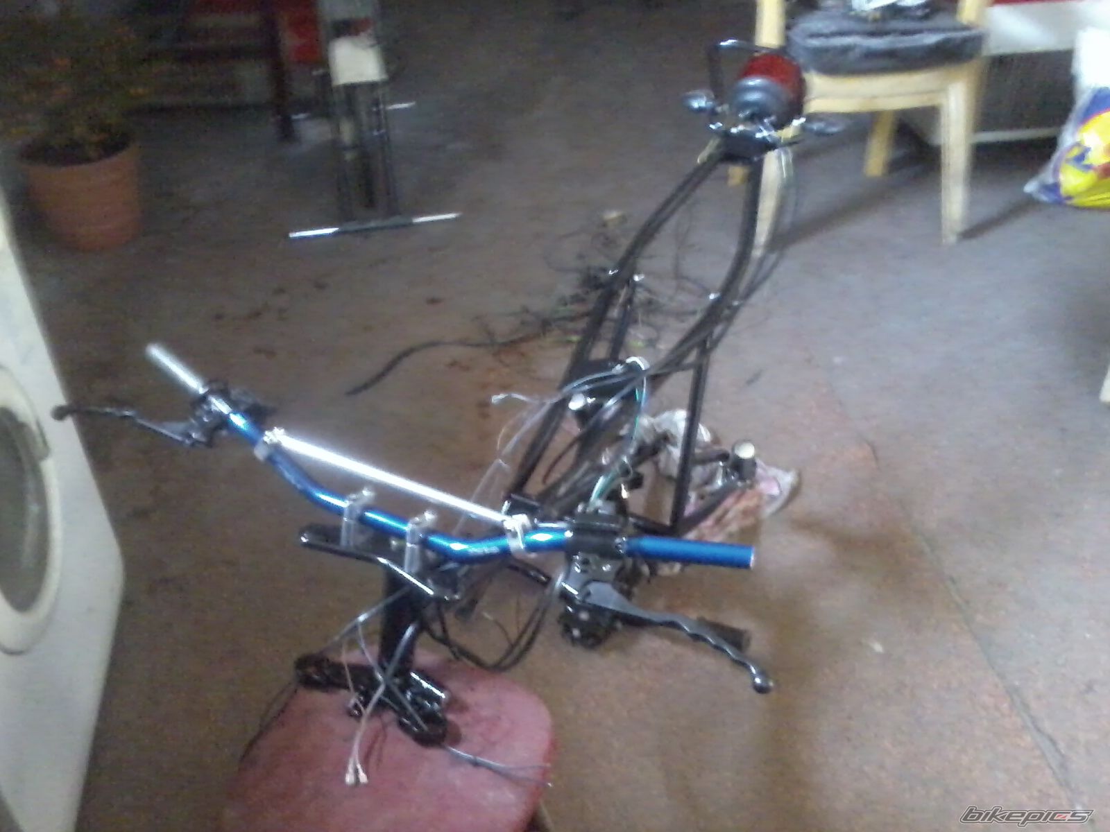 Photo 2547135