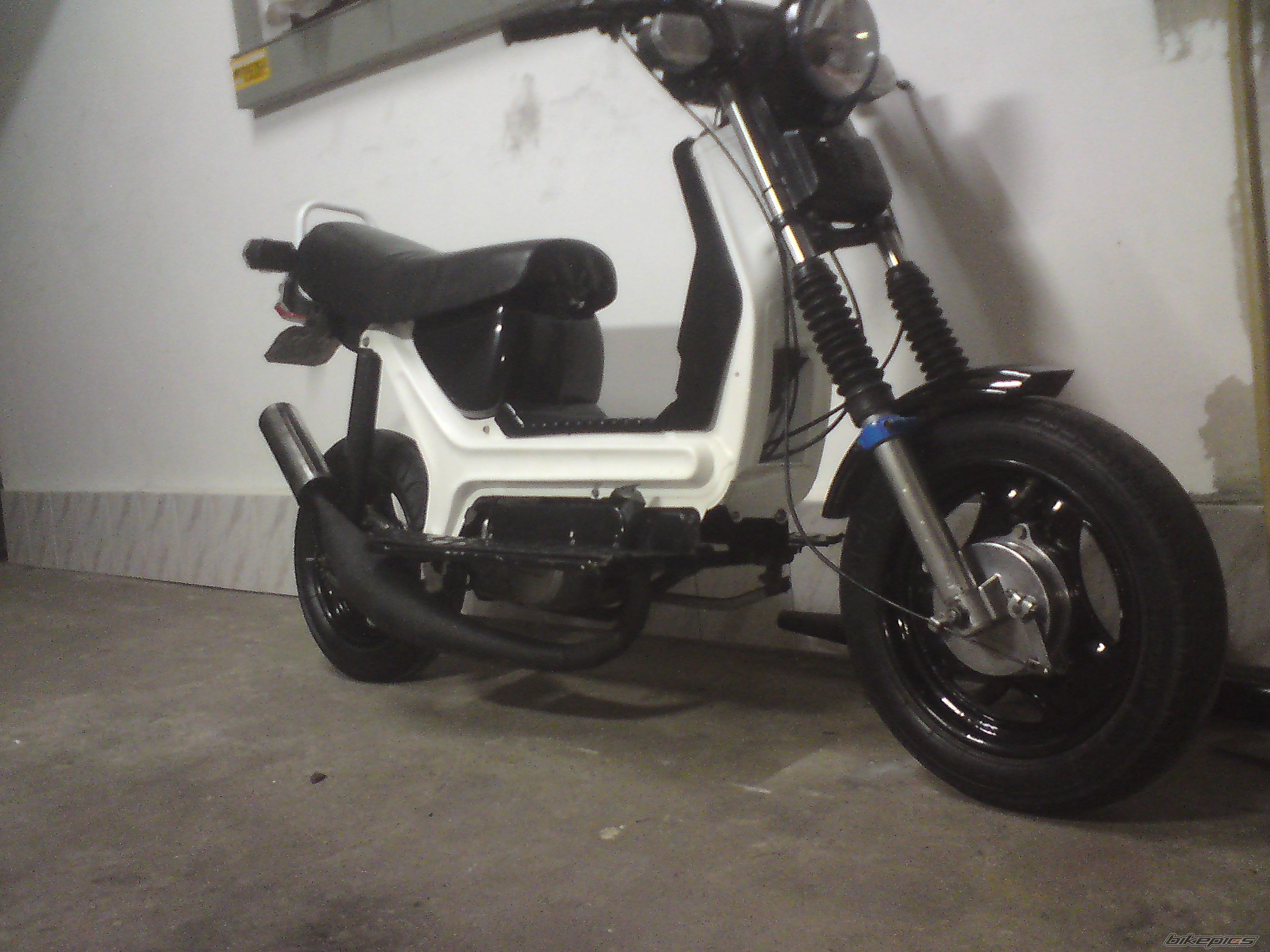 Photo 2547171