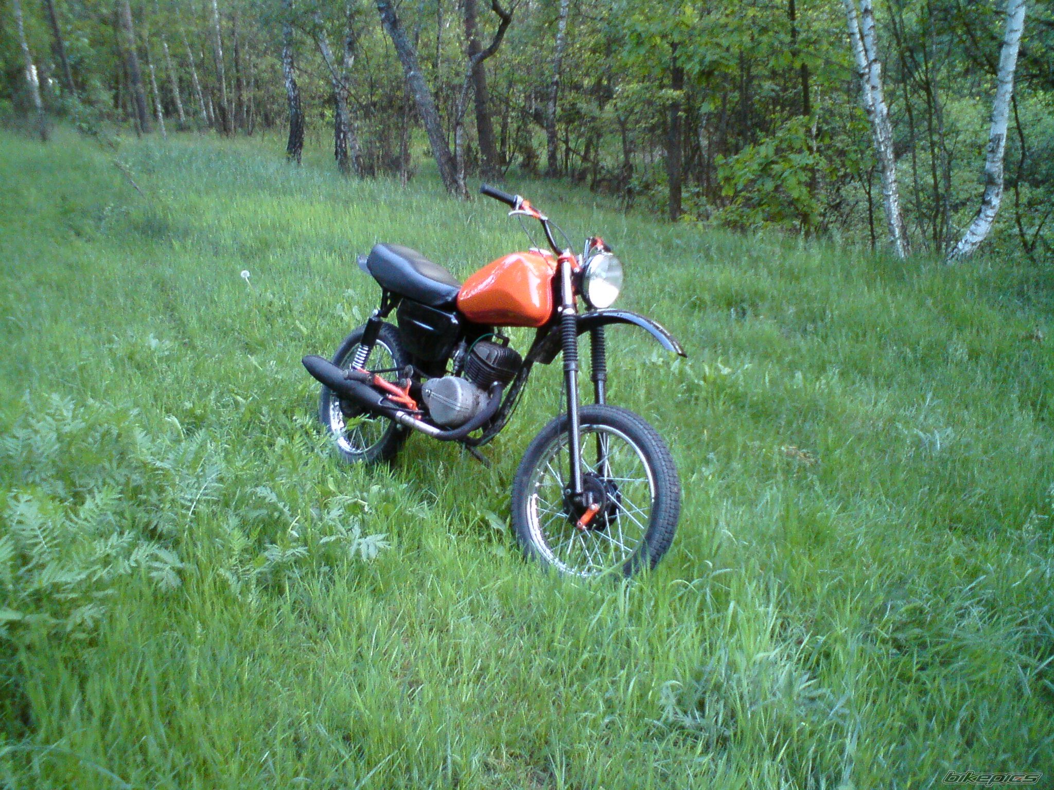 Photo 2547209