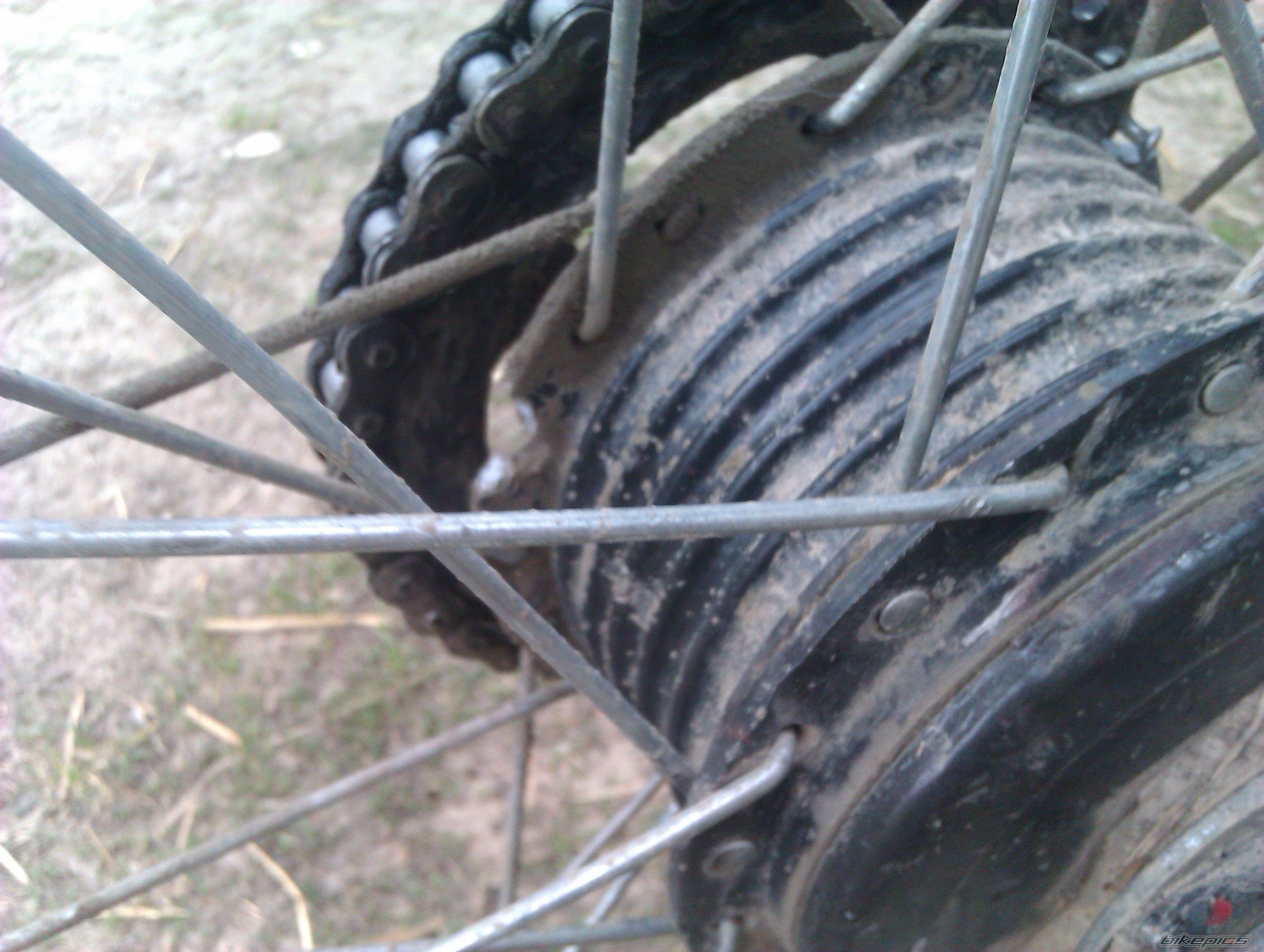 Photo 2547253