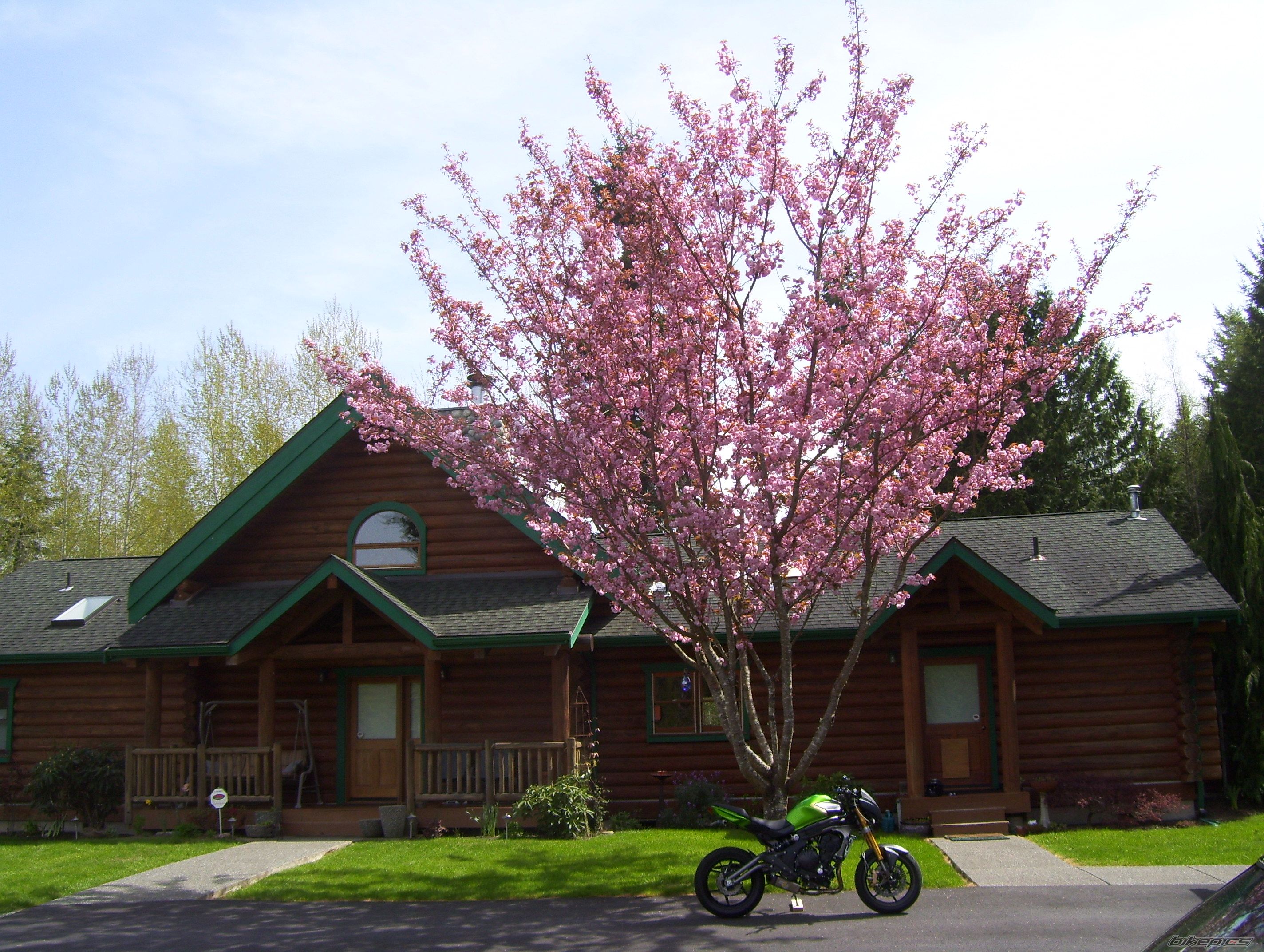Photo 2547334