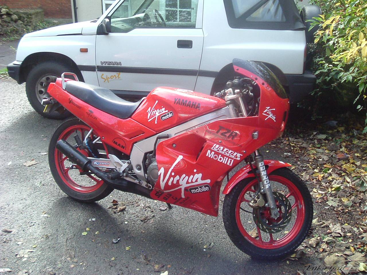 Photo 254738