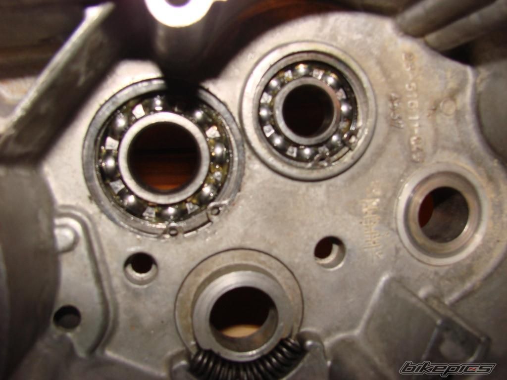 Photo 2547390