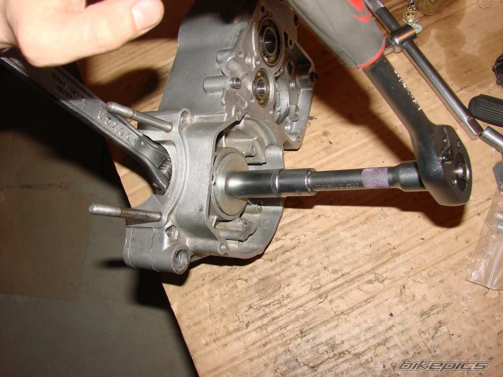 Photo 2547402