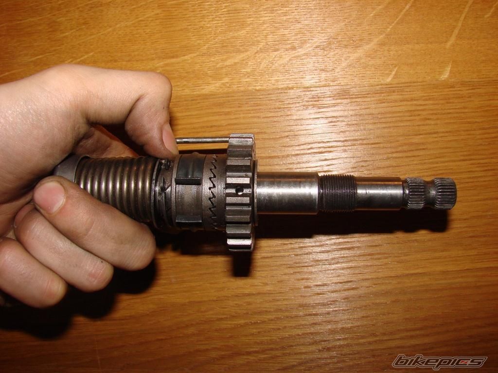 Photo 2547407