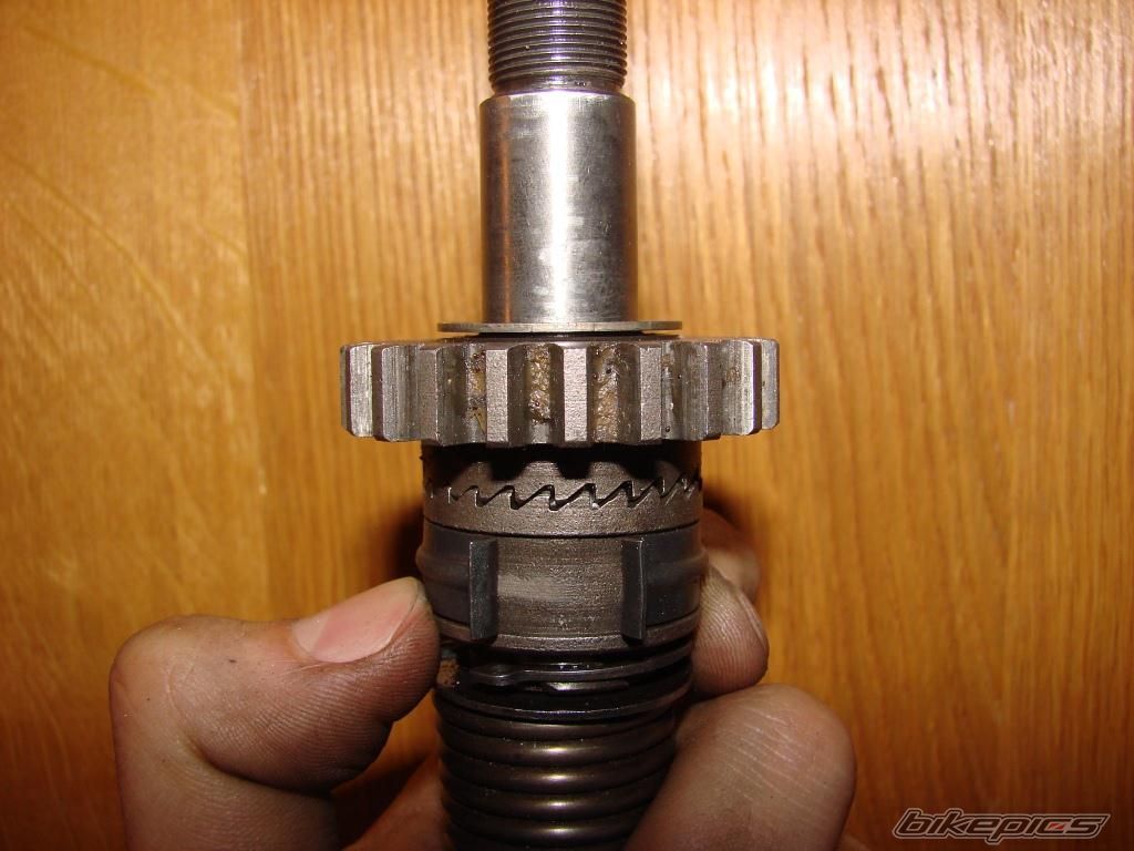 Photo 2547408