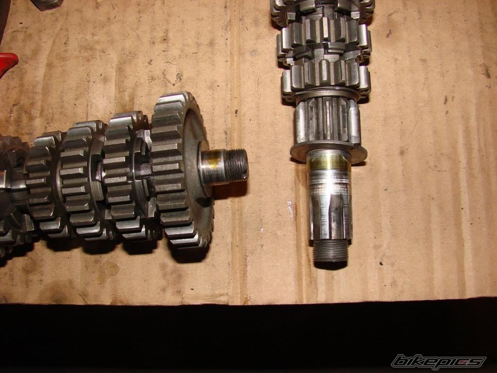 Photo 2547424